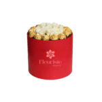 Image du produit précédent